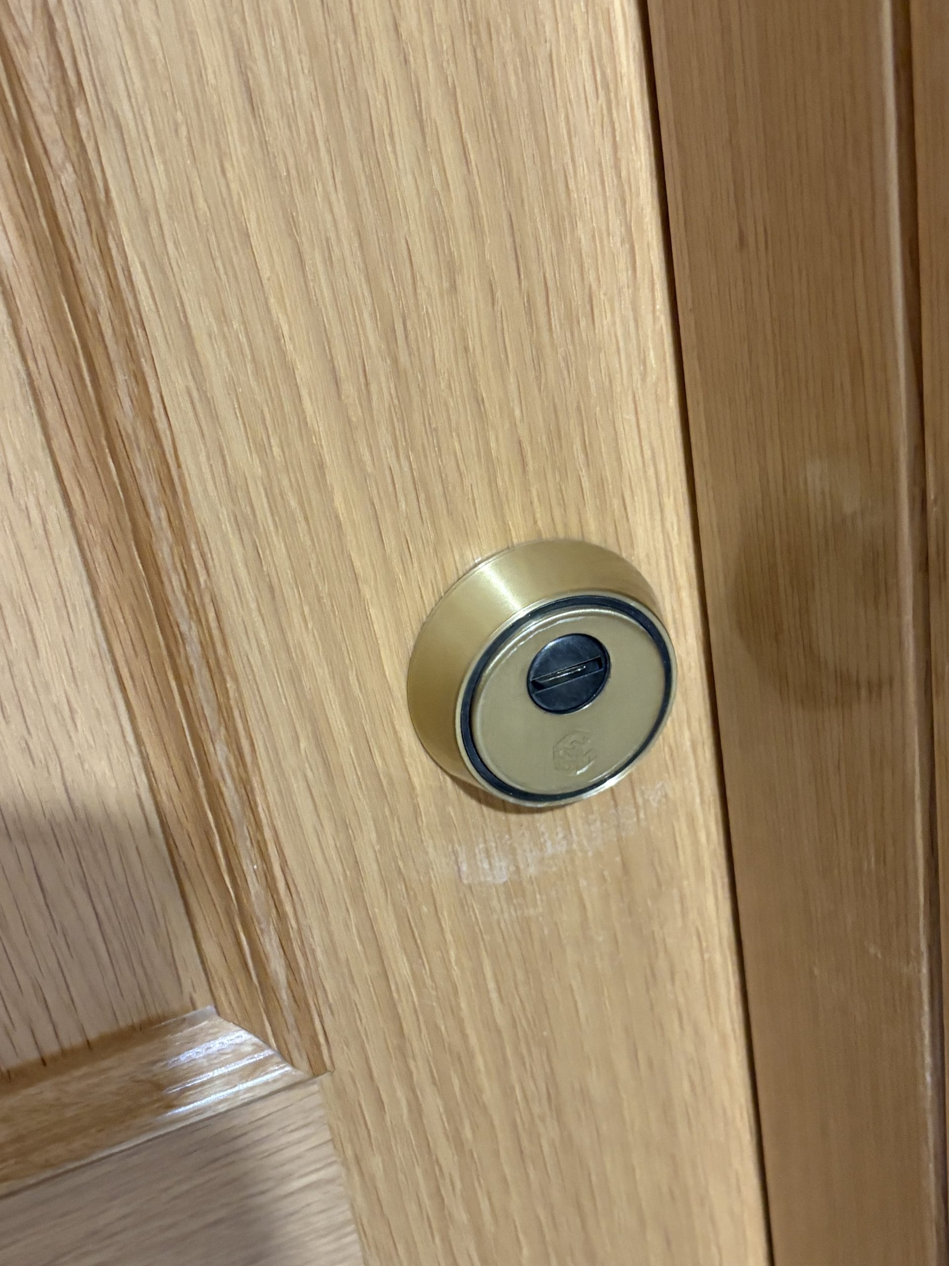 Instalación de escudo macizo de seguridad en puerta de vivienda en Valladolid